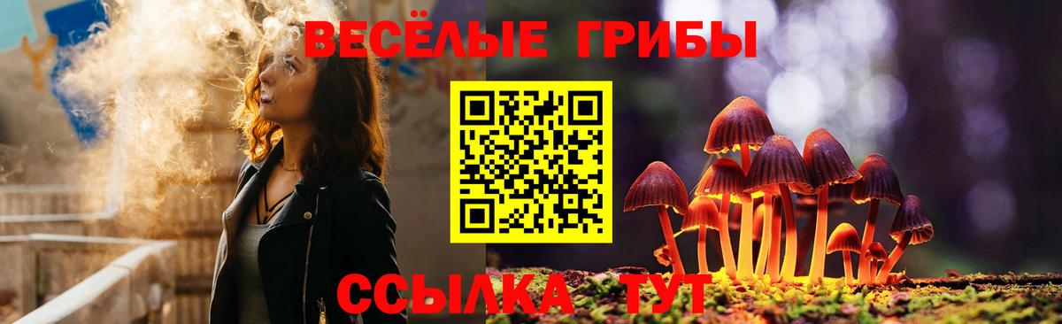 Ивантеевка  Галлюциногенные грибы MAGIC MUSHROOMS  Вход с VPN  Галлюциногенные грибы MAGIC MUSHROOMS 